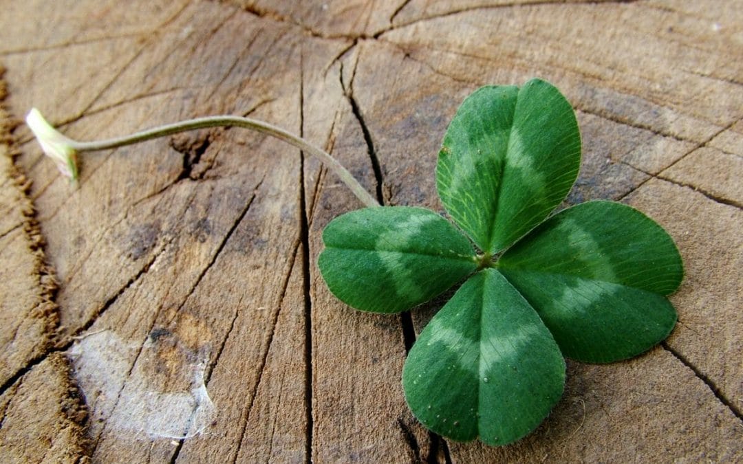 It Takes More Than Luck!