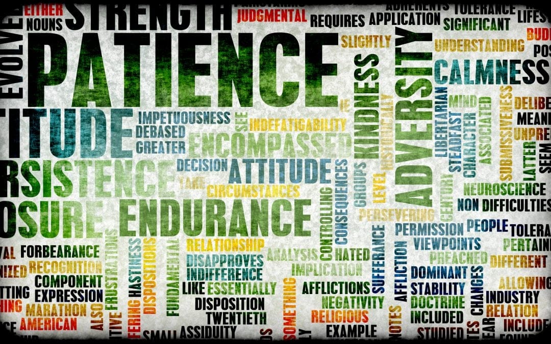 Have Patience, Remain Vigilant: It is Working