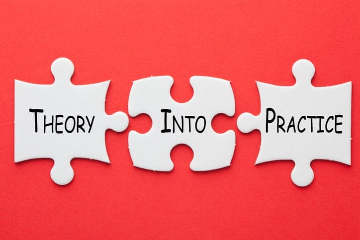Moving Theory to Practice: How Case Managers Can Expedite the Process by Using the Case Management Standards of Practice
